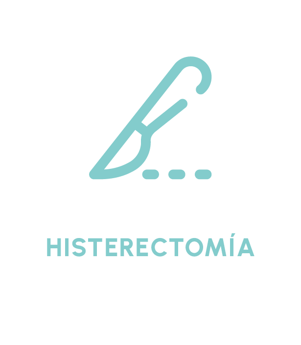 Histerectomía