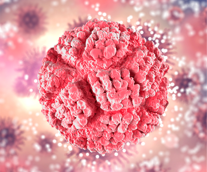 Virus del Papiloma Humano